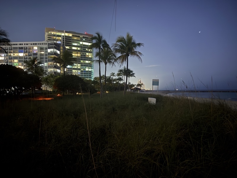 Nighttime view of Bal Harbour beachfront with dune grass, palm trees, and illuminated residential towers