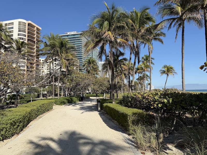 Palm-lined beach path in Bal Harbour with luxury residential towers and blue sky